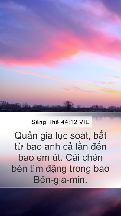 Sáng Thế 44:12 VIE Mobile Phone Wallpaper - Quản gia lục soát, bắt từ bao anh cả - Mobile Bible Verse Wallpaper