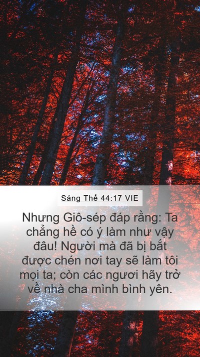 Sáng Thế 44:17 VIE Bible Verse Image
