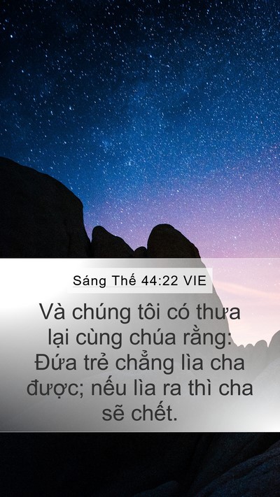 Sáng Thế 44:22 VIE Mobile Phone Wallpaper - Và chúng tôi có thưa lại cùng chúa - Mobile Bible Verse Wallpaper