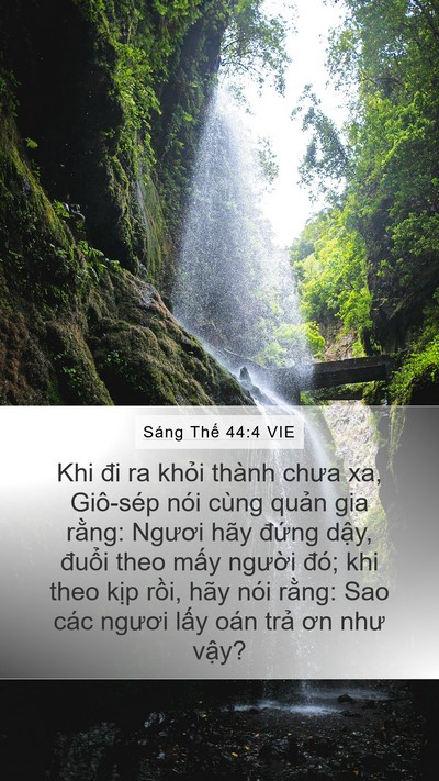 Sáng Thế 44:4 VIE Bible Verse Image