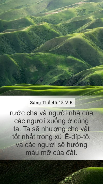 Sáng Thế 45:18 VIE Mobile Phone Wallpaper - rước cha và người nhà của các ngươi - Mobile Bible Verse Wallpaper