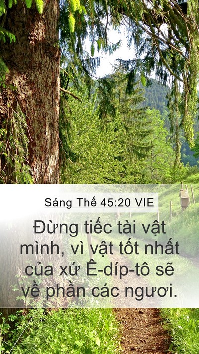 Sáng Thế 45:20 VIE Mobile Phone Wallpaper - Đừng tiếc tài vật mình, vì vật tốt - Mobile Bible Verse Wallpaper
