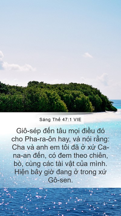 Sáng Thế 47:1 VIE Mobile Phone Wallpaper - Giô-sép đến tâu mọi điều đó cho - Mobile Bible Verse Wallpaper