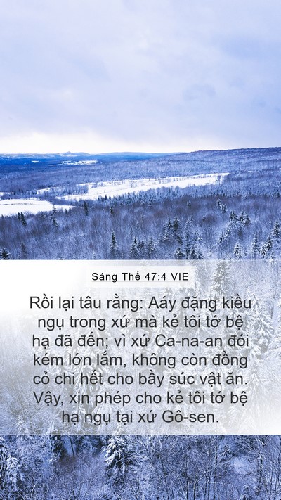 Sáng Thế 47:4 VIE Mobile Phone Wallpaper - Rồi lại tâu rằng: Aáy đặng kiều - Mobile Bible Verse Wallpaper