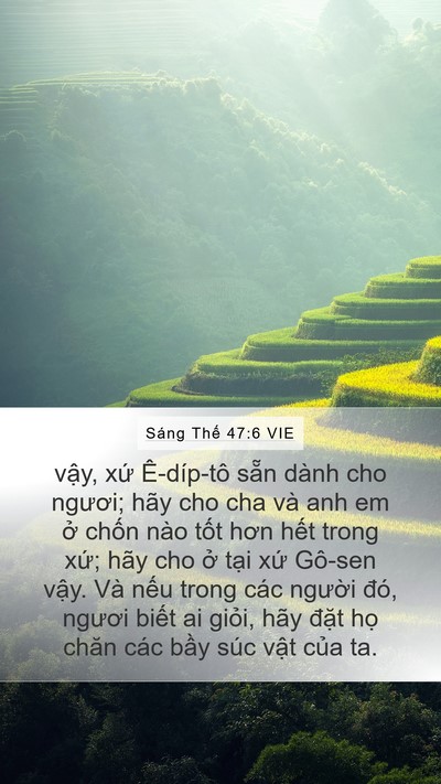 Sáng Thế 47:6 VIE Bible Verse Image