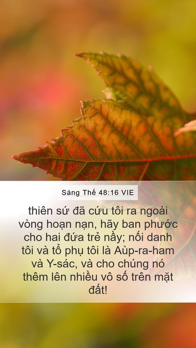 Sáng Thế 48:16 VIE Bible Verse Image