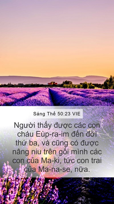 Sáng Thế 50:23 VIE Bible Verse Image