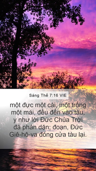 Sáng Thế 7:16 VIE Mobile Phone Wallpaper - một đực một cái, một trống một - Mobile Bible Verse Wallpaper