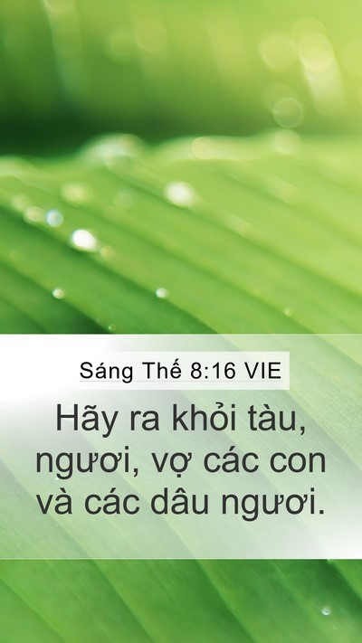 Sáng Thế 8:16 VIE Bible Verse Image