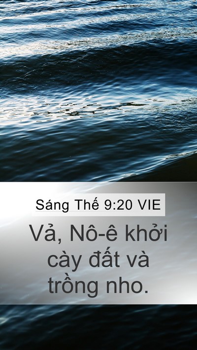 Sáng Thế 9:20 VIE Bible Verse Image