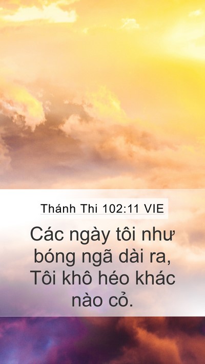 Thánh Thi 102:11 VIE Bible Verse Image