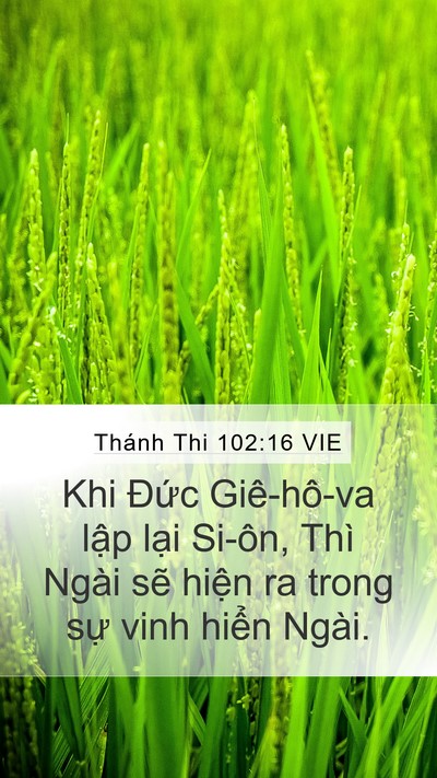 Thánh Thi 102:16 VIE Bible Verse Image