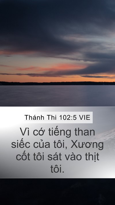 Thánh Thi 102:5 VIE Mobile Phone Wallpaper - Vì cớ tiếng than siếc của tôi, Xương - Mobile Bible Verse Wallpaper