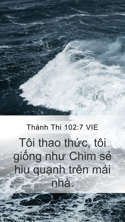 Thánh Thi 102:7 VIE Bible Verse Image