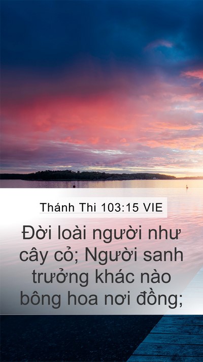 Thánh Thi 103:15 VIE Bible Verse Image