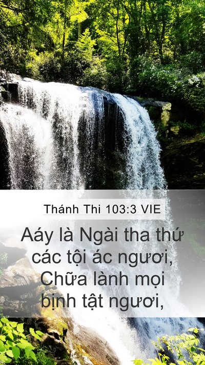 Thánh Thi 103:3 VIE Bible Verse Image