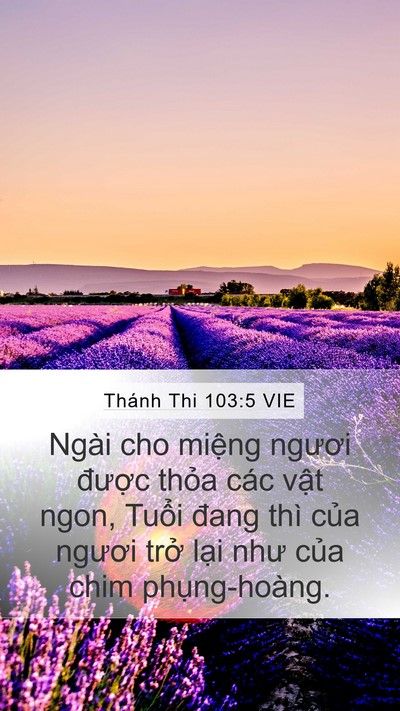 Thánh Thi 103:5 VIE Mobile Phone Wallpaper - Ngài cho miệng ngươi được thỏa các - Mobile Bible Verse Wallpaper