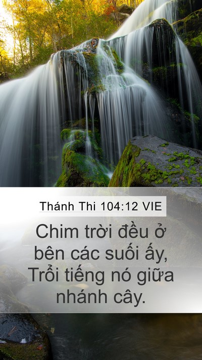 Thánh Thi 104:12 VIE Bible Verse Image