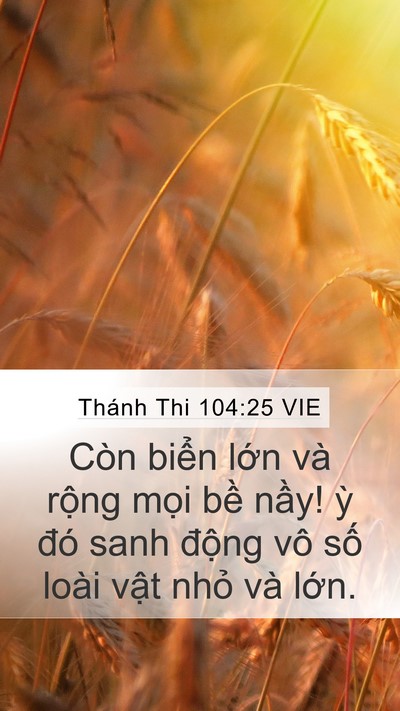Thánh Thi 104:25 VIE Bible Verse Image