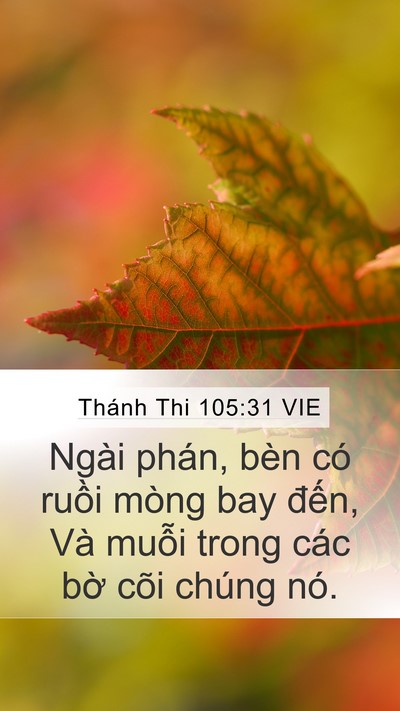 Thánh Thi 105:31 VIE Bible Verse Image