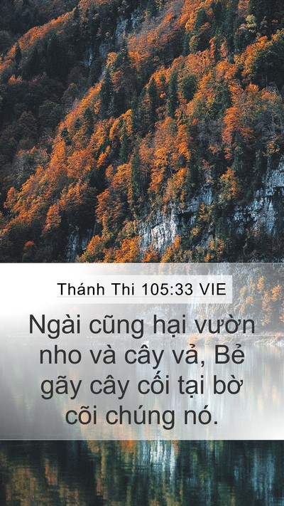 Thánh Thi 105:33 VIE Mobile Phone Wallpaper - Ngài cũng hại vườn nho và cây vả, Bẻ - Mobile Bible Verse Wallpaper