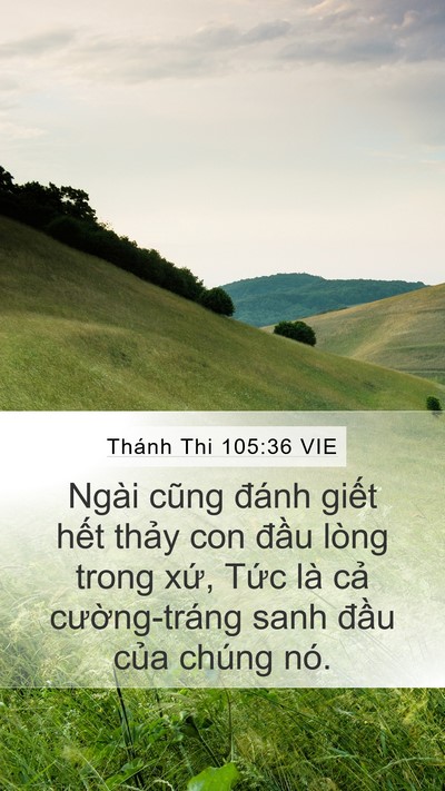 Thánh Thi 105:36 VIE Bible Verse Image