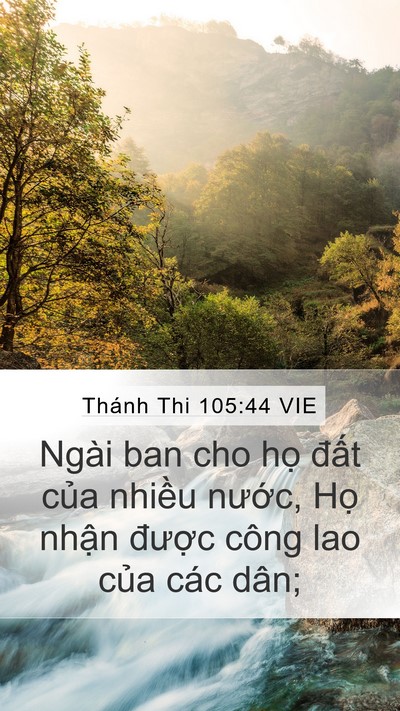 Thánh Thi 105:44 VIE Bible Verse Image