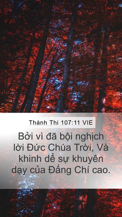 Thánh Thi 107:11 VIE Bible Verse Image