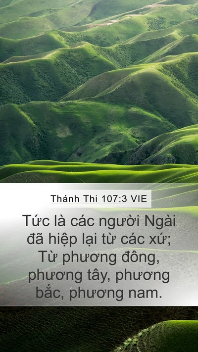 Thánh Thi 107:3 VIE Mobile Phone Wallpaper - Tức là các người Ngài đã hiệp lại - Mobile Bible Verse Wallpaper