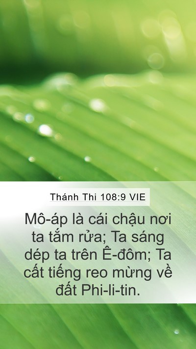 Thánh Thi 108:9 VIE Bible Verse Image