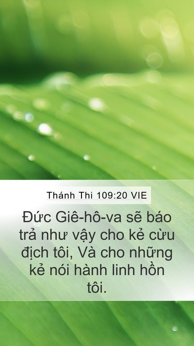 Thánh Thi 109:20 VIE Mobile Phone Wallpaper - Đức Giê-hô-va sẽ báo trả như vậy cho - Mobile Bible Verse Wallpaper