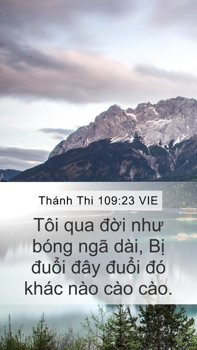 Thánh Thi 109:23 VIE Mobile Phone Wallpaper - Tôi qua đời như bóng ngã dài, Bị - Mobile Bible Verse Wallpaper
