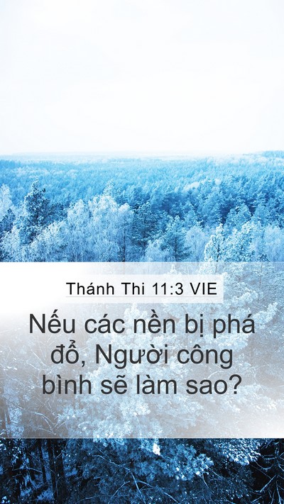 Thánh Thi 11:3 VIE Mobile Phone Wallpaper - Nếu các nền bị phá đổ, Người công - Mobile Bible Verse Wallpaper