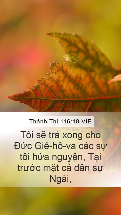 Thánh Thi 116:18 VIE Bible Verse Image