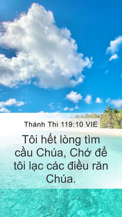 Thánh Thi 119:10 VIE Bible Verse Image