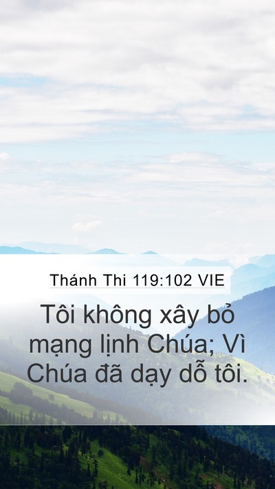 Thánh Thi 119:102 VIE Bible Verse Image