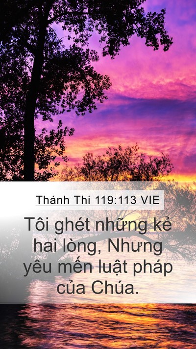 Thánh Thi 119:113 VIE Bible Verse Image