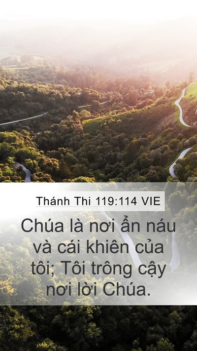 Thánh Thi 119:114 VIE Bible Verse Image