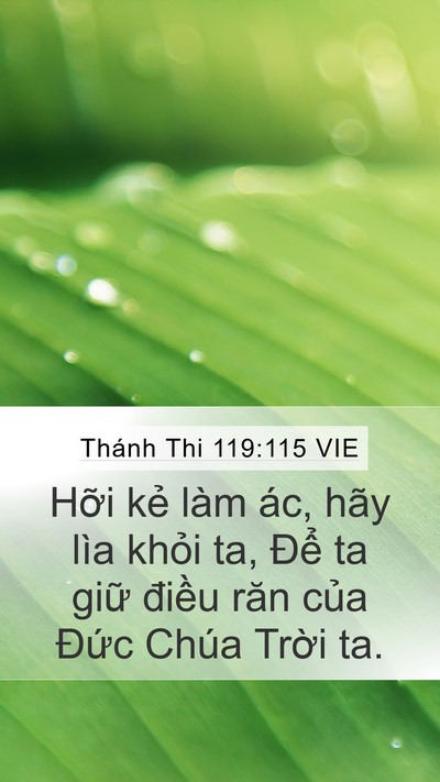 Thánh Thi 119:115 VIE Bible Verse Image