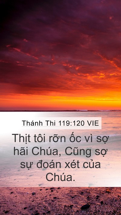 Thánh Thi 119:120 VIE Bible Verse Image