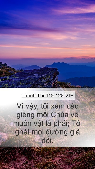 Thánh Thi 119:128 VIE Bible Verse Image