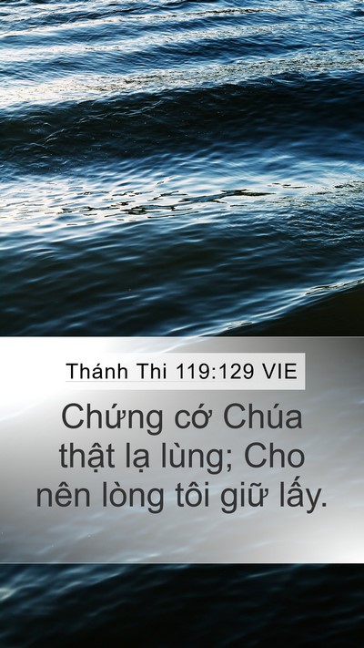 Thánh Thi 119:129 VIE Mobile Phone Wallpaper - Chứng cớ Chúa thật lạ lùng; Cho nên - Mobile Bible Verse Wallpaper