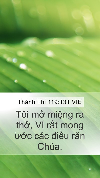 Thánh Thi 119:131 VIE Bible Verse Image