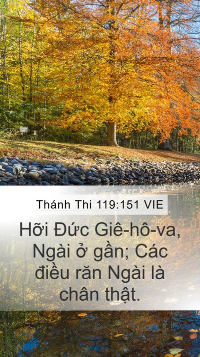 Thánh Thi 119:151 VIE Bible Verse Image