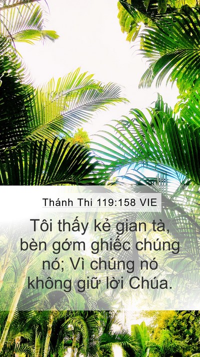 Thánh Thi 119:158 VIE Bible Verse Image