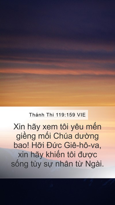 Thánh Thi 119:159 VIE Mobile Phone Wallpaper - Xin hãy xem tôi yêu mến giềng mối Chúa - Mobile Bible Verse Wallpaper