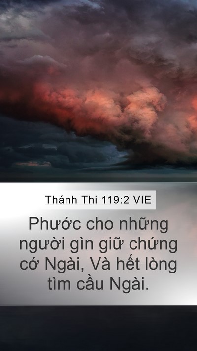 Thánh Thi 119:2 VIE Mobile Phone Wallpaper - Phước cho những người gìn giữ chứng - Mobile Bible Verse Wallpaper