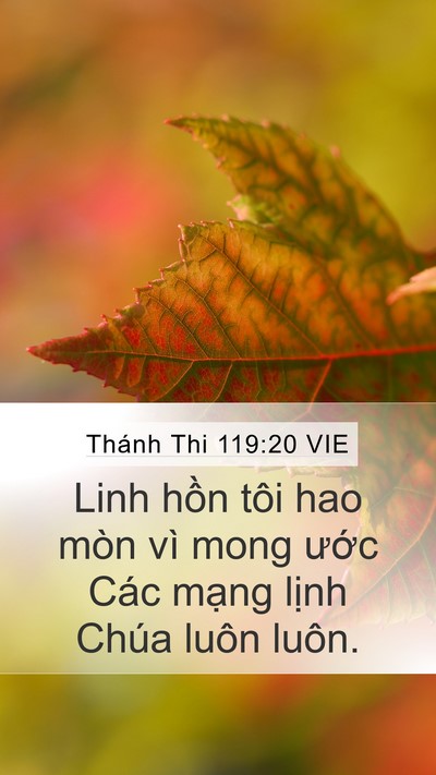 Thánh Thi 119:20 VIE Bible Verse Image