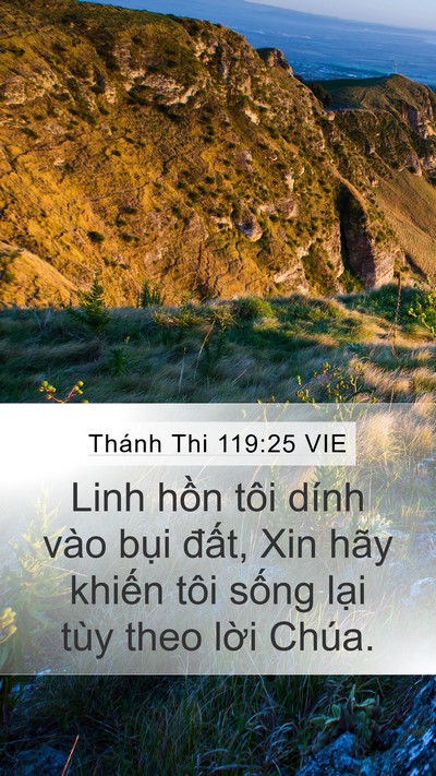 Thánh Thi 119:25 VIE Bible Verse Image