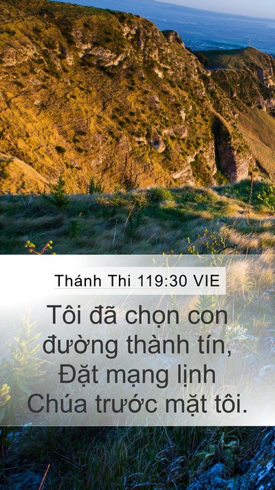 Thánh Thi 119:30 VIE Bible Verse Image